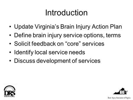 Introduction Update Virginias Brain Injury Action Plan Define brain injury service options, terms Solicit feedback on core services Identify local service.