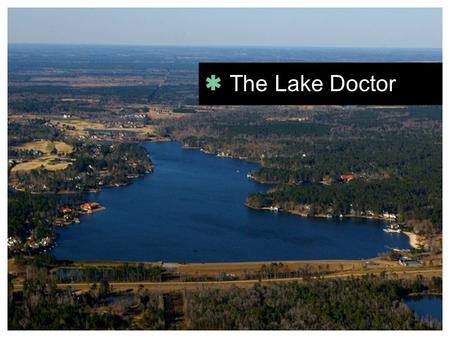 The Lake Doctor. Full-time practicing oral surgeon for 39 years.