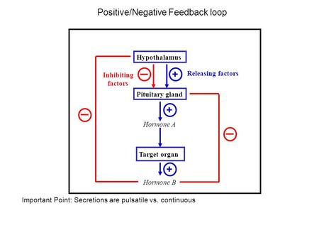 Positive/Negative Feedback loop