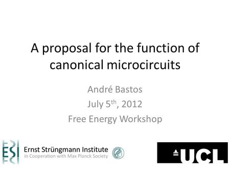 A proposal for the function of canonical microcircuits André Bastos July 5 th, 2012 Free Energy Workshop.