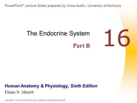 The Endocrine System Part B