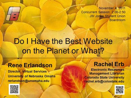 Do I Have the Best Website on the Planet or What? Rene Erlandson Director, Virtual Services University of Nebraska Omaha November.