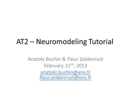 AT2 – Neuromodeling Tutorial Anatoly Buchin & Fleur Zeldenrust February 11 th, 2013