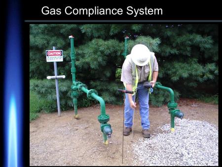 Gas Compliance System. Based on DOT 192 requirements Non-Compliance Warnings MS Windows look and feel for the user Oracle database on the server Uses.