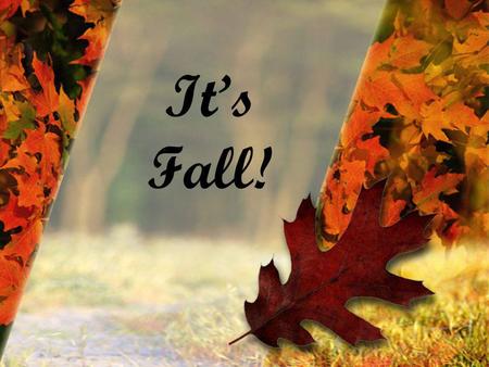 Its Fall!. How do we love the Fall? –the break from summer's heat and humidity –the brilliant reds, gold's, and oranges of fall leaves –the taste of hot.