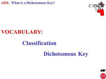 VOCABULARY: Classification Dichotomous Key.