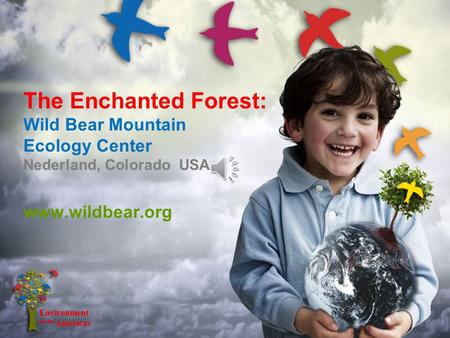 The Enchanted Forest: Wild Bear Mountain Ecology Center Nederland, Colorado USA www.wildbear.org.