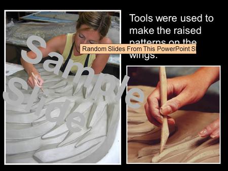 Tools were used to make the raised patterns on the wings. Sample Slide Random Slides From This PowerPoint Show.