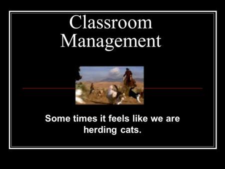 Some times it feels like we are herding cats.