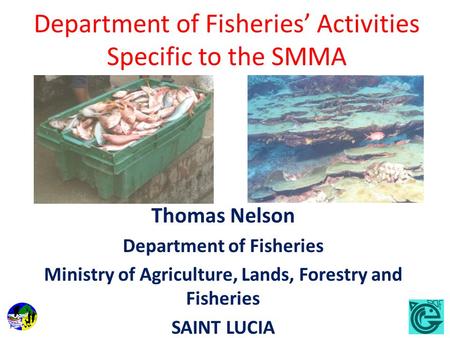 Department of Fisheries Activities Specific to the SMMA Thomas Nelson Department of Fisheries Ministry of Agriculture, Lands, Forestry and Fisheries SAINT.