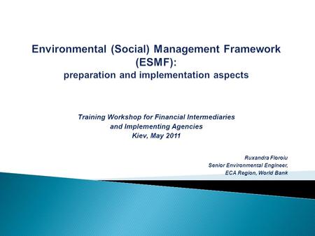 Training Workshop for Financial Intermediaries and Implementing Agencies Kiev, May 2011 Ruxandra Floroiu Senior Environmental Engineer, ECA Region, World.