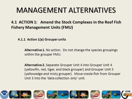 MANAGEMENT ALTERNATIVES 4.1 ACTION 1: Amend the Stock Complexes in the Reef Fish Fishery Management Units (FMU) 4.1.1 Action 1(a) Grouper units Alternative.