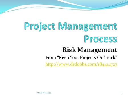 Risk Management From Keep Your Projects On Track  Other Processes1.