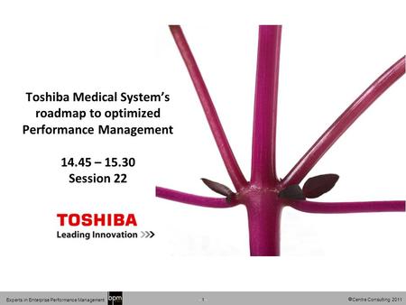 Centre Consulting 2011 - 1 - Experts in Enterprise Performance Management Toshiba Medical Systems roadmap to optimized Performance Management 14.45 – 15.30.