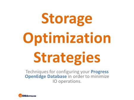 Storage Optimization Strategies Techniques for configuring your Progress OpenEdge Database in order to minimize IO operations.