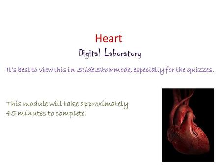 Heart Digital Laboratory