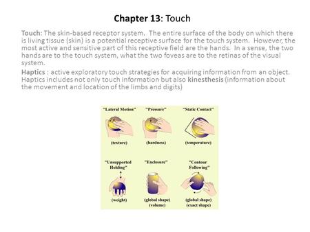 Chapter 13: Touch Touch: The skin-based receptor system. The entire surface of the body on which there is living tissue (skin) is a potential receptive.