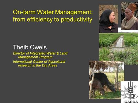 On-farm Water Management: from efficiency to productivity Theib Oweis Director of Integrated Water & Land Management Program International Center of Agricultural.