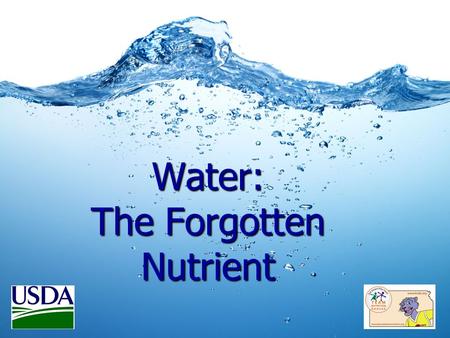 Water: The Forgotten Nutrient. 6 Essential Nutrients: Carbohydrates Carbohydrates Protein Protein Fats Fats Vitamins Vitamins Minerals Minerals WATER.