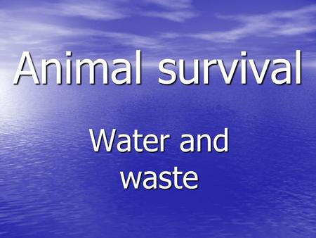 Animal survival Water and waste. Aims of today… To be able to: Identify ways in which a mammal gains and loses water. Identify ways in which a mammal.