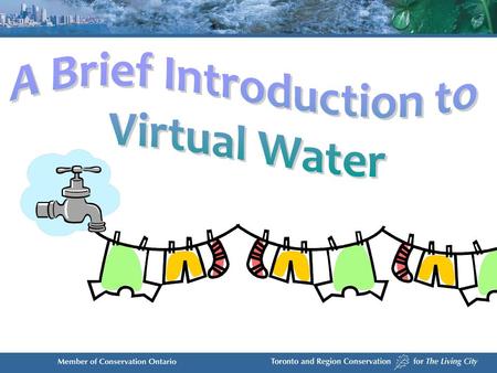 quantifies the water used in the production of a good or service concept was developed by Professor John Anthony Allan said to be virtual because once.