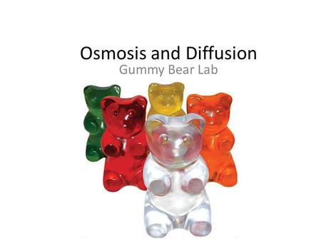 Osmosis and Diffusion Gummy Bear Lab.
