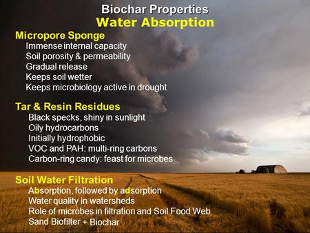 Biochar Properties Water Absorption Micropore Sponge