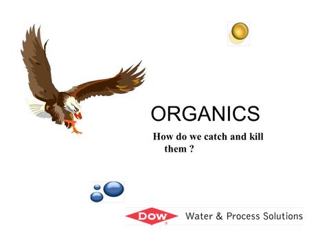 ORGANICS How do we catch and kill them ? By François de Dardel