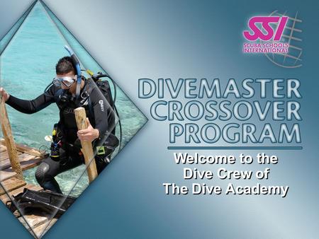 Welcome to the Dive Crew of The Dive Academy Welcome to the Dive Crew of The Dive Academy.