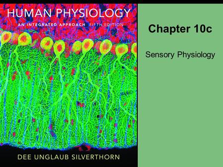 Chapter 10c Sensory Physiology.