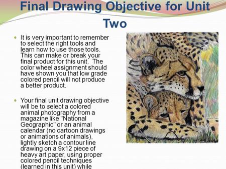 Final Drawing Objective for Unit Two