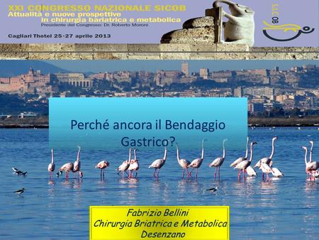 Perché ancora il Bendaggio Gastrico?. Why such a success…? All over the world more than 800.000 Gastric Bands have been placed! According to the World.
