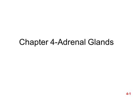 Chapter 4-Adrenal Glands 4-1. Ch. 4-- Study Guide 1.Critically read (1) pages pp. 61-69 before postsecretory metabolism of adrenal cortical hormones section;