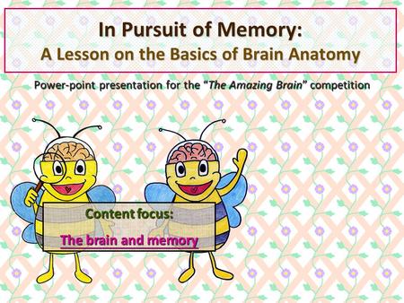 In Pursuit of Memory: A Lesson on the Basics of Brain Anatomy