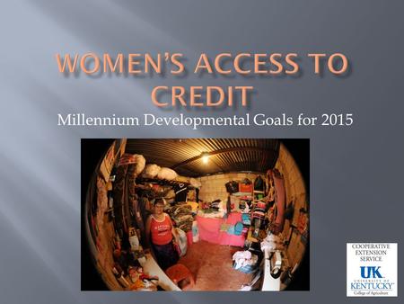 Millennium Developmental Goals for 2015. Promote Gender Equality and Empower Women Increase womens access to credit.