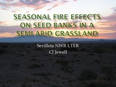 Sevilleta NWR LTER CJ Jewell. Effects of Fire: release of nutrients breakdown of hydrophobic plant litter breakdown of dormancy removal of inhibiting.