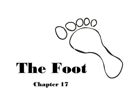 The Foot www.peakorthopedics.com/book/export/html/45 Chapter 17.