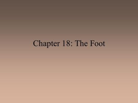Chapter 18: The Foot.