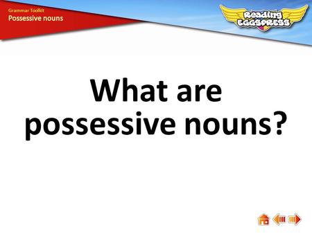 What are possessive nouns?