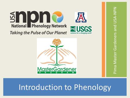 Tucson Phenology Monitoring Project Introduction to Phenology Pima Master Gardeners and USA-NPN.