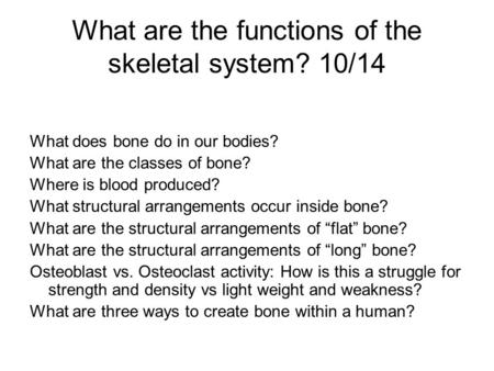 What are the functions of the skeletal system? 10/14