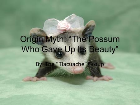 Origin Myth: The Possum Who Gave Up Its Beauty By: The Tlacuache Group.