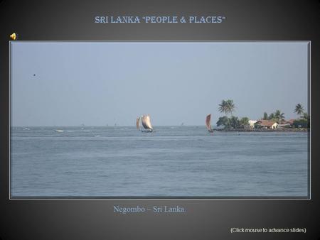 Sri Lanka *People & Places* Negombo – Sri Lanka. (Click mouse to advance slides)