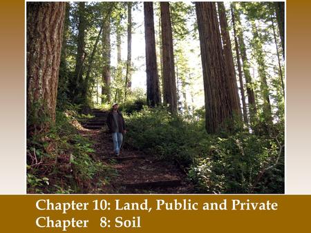 Chapter 10: Land, Public and Private