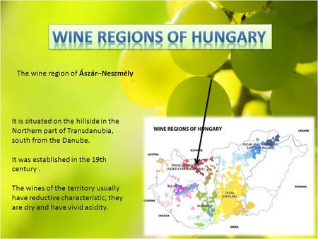 It is situated on the hillside in the Northern part of Transdanubia, south from the Danube. It was established in the 19th century. The wines of the territory.
