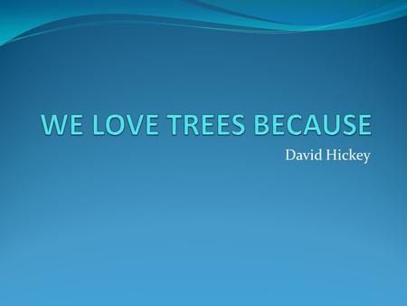 David Hickey. We love trees because Trees soak up carbon dioxide.