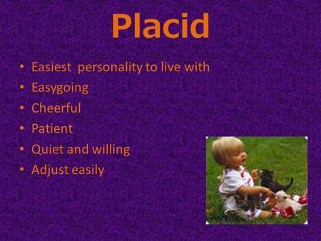Placid Easiest personality to live with Easygoing Cheerful Patient Quiet and willing Adjust easily.