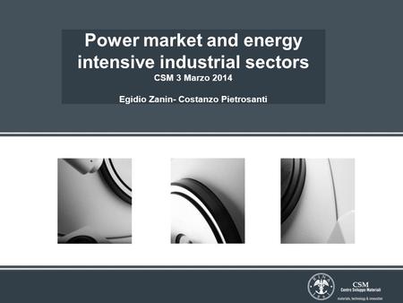 Power market and energy intensive industrial sectors CSM 3 Marzo 2014 Egidio Zanin- Costanzo Pietrosanti.