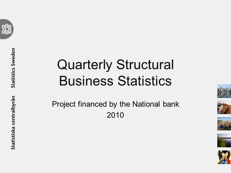Quarterly Structural Business Statistics Project financed by the National bank 2010.