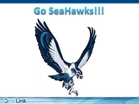 Go SeaHawks!!!.